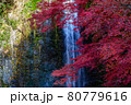 箕面の大滝と紅葉 80779616