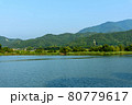 広沢池から望む京都の山並 80779617