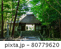 法然院の山門と新緑 80779620