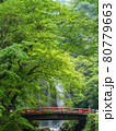 箕面の大滝と朱色の橋 80779663