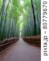 竹林の小道 80779670