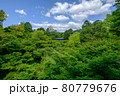東福寺の新緑 80779676