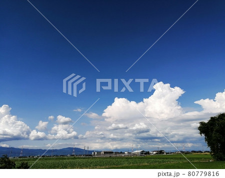 田舎の入道雲 80779816