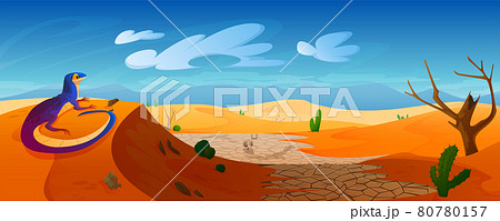 Lizard sit on dune in desert with golden sand 80780157