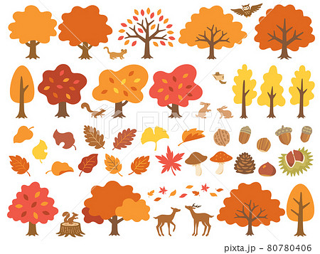 紅葉した木と森の動物達のイラストセット 80780406