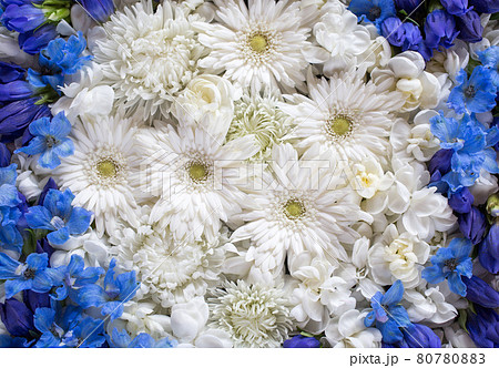 青と白の花のフラワーアレンジメント ガーベラ 菊 デルフィニューム リンドウの写真素材