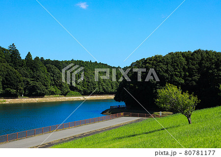 【千葉県東金市】東金ダムの青空風景 【千葉県東金市】東金ダムの青空風景 80781177