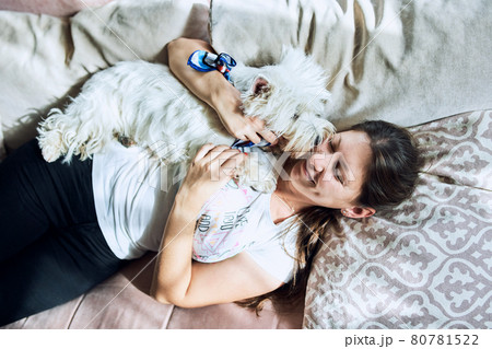 A pair of lovely west highland white terrier are lying on the sofa and hugging their owner. A pair of lovely west highland white terrier are lying on the sofa and hugging their owner. 80781522