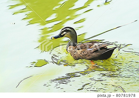 パステル調 カルガモ イラストイメージのイラスト素材 パステル調 カルガモ イラストイメージのイラスト素材