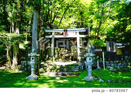 埼玉　城峯山　城峯神社　 80783067