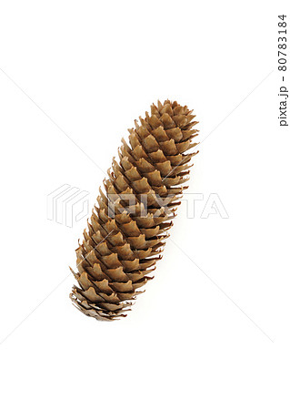 松ぼっくり 80783184