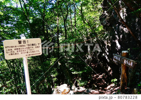 埼玉　城峯山　将門の隠れ岩への入口 80783228