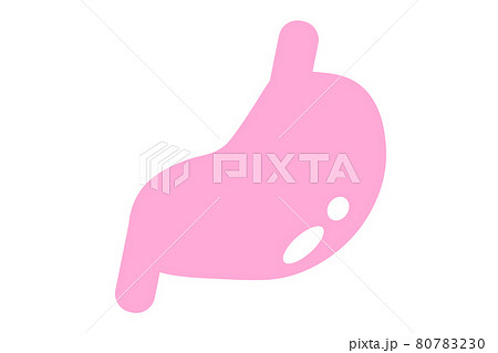 胃 ベクターイラスト 胃 ベクターイラスト 80783230