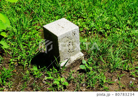 埼玉　城峯山　一等三角点 80783234