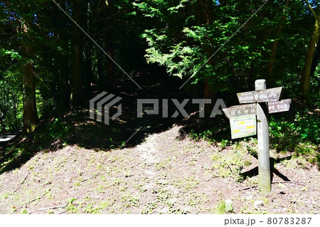 埼玉 城峯山 石間峠から山頂方面へ 埼玉 城峯山 石間峠から山頂方面へ 80783287