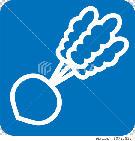 蘿蔔象形圖 80783853