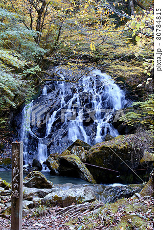 秋の江竜田の滝（福島県・鮫川村） 80784815