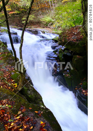 秋の江竜田の滝（福島県・鮫川村） 80784816