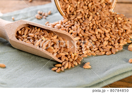 Raw Organic Spelt Grain in the wooden scoop Raw Organic Spelt Grain in the wooden scoop 80784850