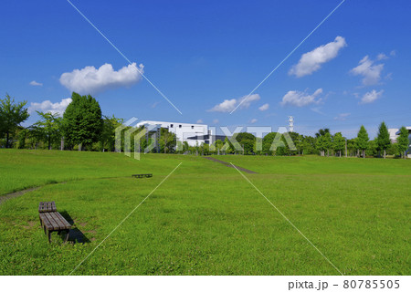 夏の科学万博記念公園（つくば市） 80785505