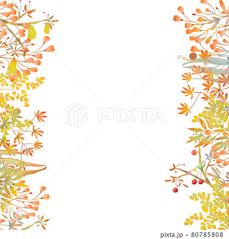北欧風オシャレな秋の植物と実がある森の白バックフレームのイラストのイラスト素材
