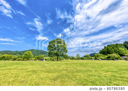 春の宮ヶ瀬湖畔園地　魚眼レンズ　神奈川県 80786380