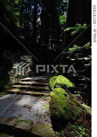 室生寺より 室生寺より 80787895