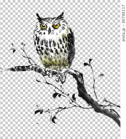 水墨画技法で描かれた枝にミミズクのイラスト素材 [80788117