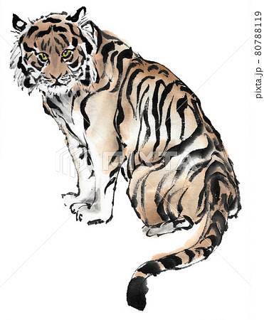 水墨画技法で描かれた虎のイラスト素材 [80788119] - PIXTA