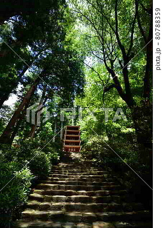 室生寺より 室生寺より 80788359