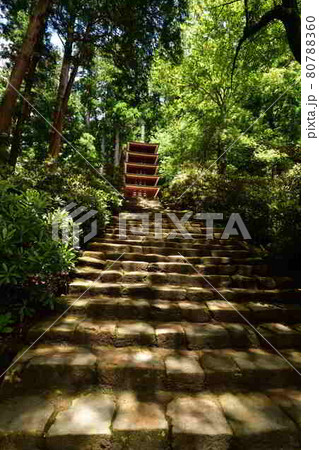 室生寺より 室生寺より 80788360