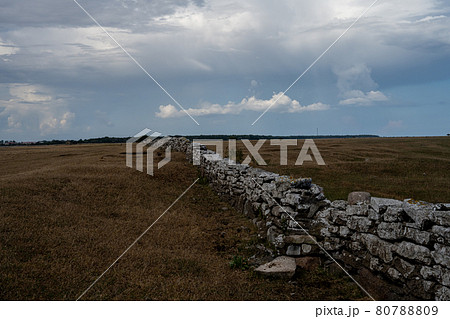 A limestone wall in a moor landscape 80788809