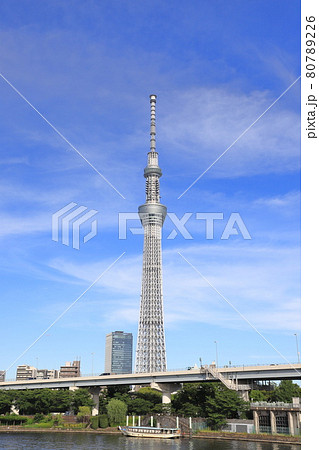 浅草から見る隅田川 隅田公園と東京スカイツリーの写真素材