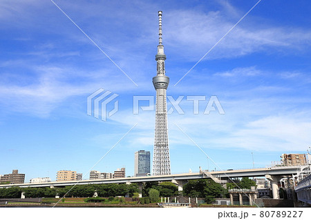 浅草から見る隅田川 隅田公園と東京スカイツリーの写真素材