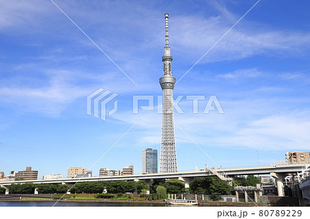 浅草から見る隅田川、隅田公園と東京スカイツリー 浅草から見る隅田川、隅田公園と東京スカイツリー 80789229