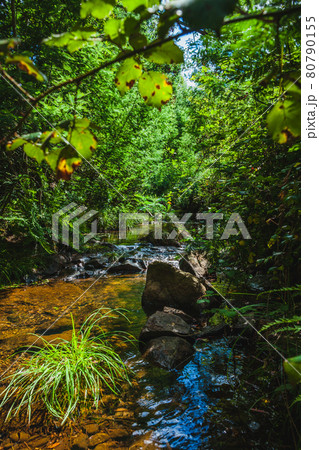 water flow on a mountain creek 80790155