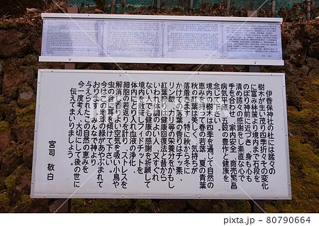 伊香保神社　伊加保神社　伊香保温泉　群馬　渋川　伊香保　温泉　温泉街　石段　伊香保神社　石段街 80790664
