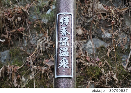 伊香保温泉　湯本通り　群馬　渋川　伊香保　温泉　温泉街　石段　伊香保神社　石段街 80790687