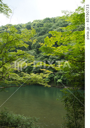 大堰川河畔 大堰川河畔 80790733