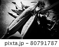 とうもろこし 80791787
