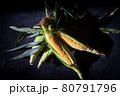 とうもろこし 80791796
