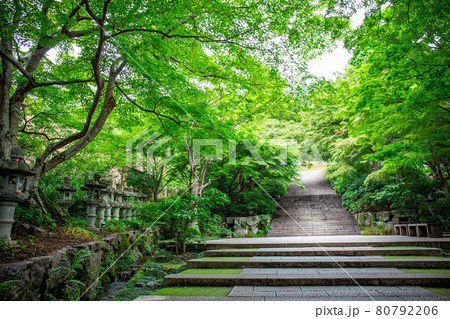 勝尾寺 80792206