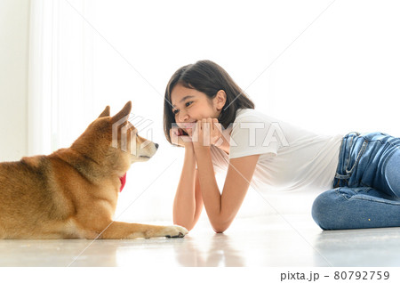 Laughing jocund young asian woman sitting on the floor playing with her Shiba Inu Japanese dog, Cheerful and nice couple with people and pet, Cheerful and nice couple with people and pet. Pet Lover Laughing jocund young asian woman sitting on the floor playing with her Shiba Inu Japanese dog, Cheerful and nice couple with people and pet, Cheerful and nice couple with people and pet. Pet Lover 80792759