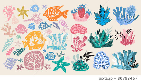 Seaweeds and corals 1 80793467