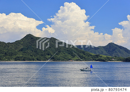 真夏の瀬戸内海の風景 広島県三原市筆影山・竜王山 真夏の瀬戸内海の風景 広島県三原市筆影山・竜王山 80793474