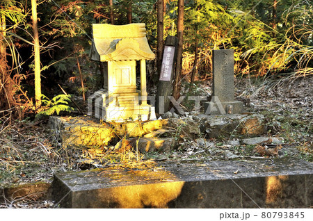 奥武蔵 朝日射し込む名栗金比羅山跡 奥武蔵 朝日射し込む名栗金比羅山跡 80793845