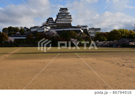 日本の兵庫県の姫路市 世界遺産で国宝でもある姫路城 春の桜と青空と立派な天守閣 日本の兵庫県の姫路市 世界遺産で国宝でもある姫路城 春の桜と青空と立派な天守閣 80794016