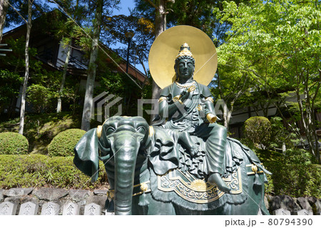 霊山寺　普賢菩薩像　奈良県奈良市 80794390