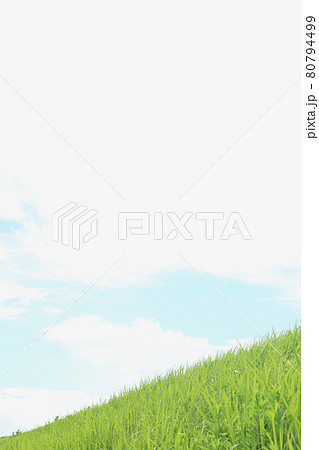 夏の薄曇の土手 80794499