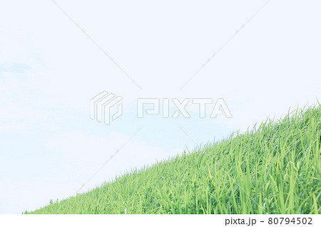 夏の薄曇の土手 80794502